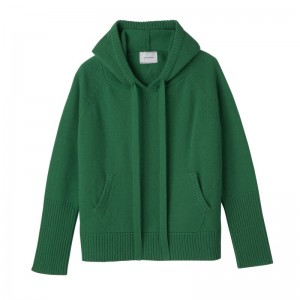 Longchamp Hoodie Jumper Groen | VCGP23761