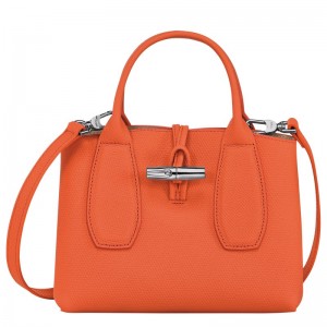 Longchamp Le Roseau S Handbag Oranje | OKYB73896