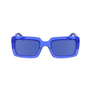 Longchamp Sunglasses Blauw | HCWR73802