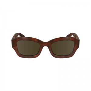 Longchamp Sunglasses Bruin | OPFQ27698