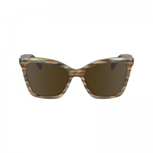 Longchamp Sunglasses Bruin | QSDR28603