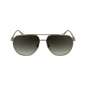 Longchamp Sunglasses Goud Bruin | TYLV12786