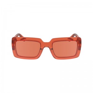 Longchamp Sunglasses Oranje | RKCP30869