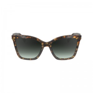 Longchamp Sunglasses Tokio Havana | JNIC35184