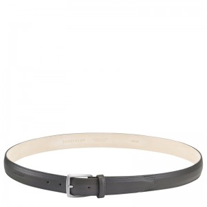 Longchamp Végétal Belt Grijs | DXWR25187