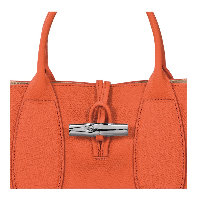 Longchamp Le Roseau M Handbag Oranje | JBPN52860