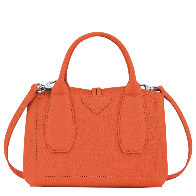 Longchamp Le Roseau S Handbag Oranje | OKYB73896