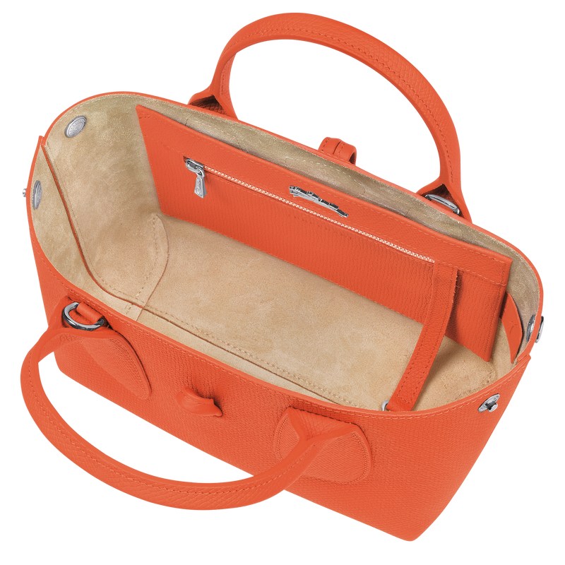 Longchamp Le Roseau S Handbag Oranje | OKYB73896