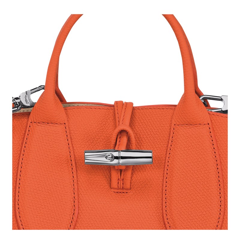 Longchamp Le Roseau S Handbag Oranje | OKYB73896