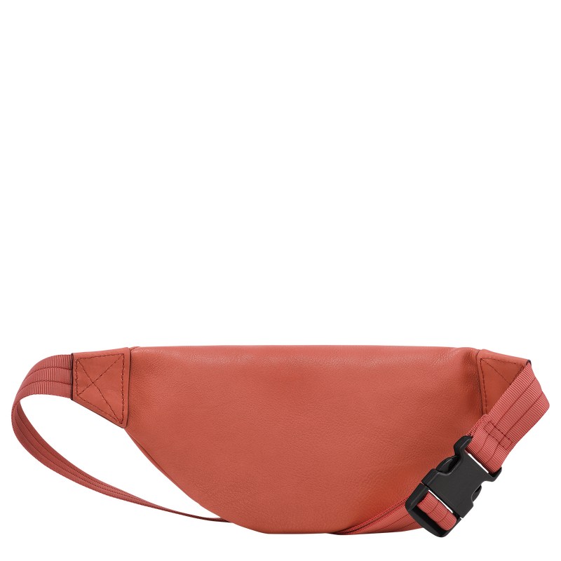 Longchamp Longchamp 3d S Belt Bag Sienna | XCJB79652