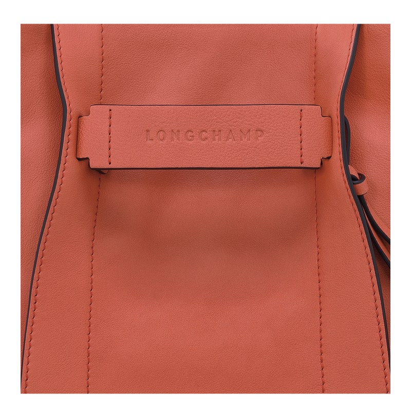 Longchamp Longchamp 3d S Crossbody Bag Sienna | JHAT61874