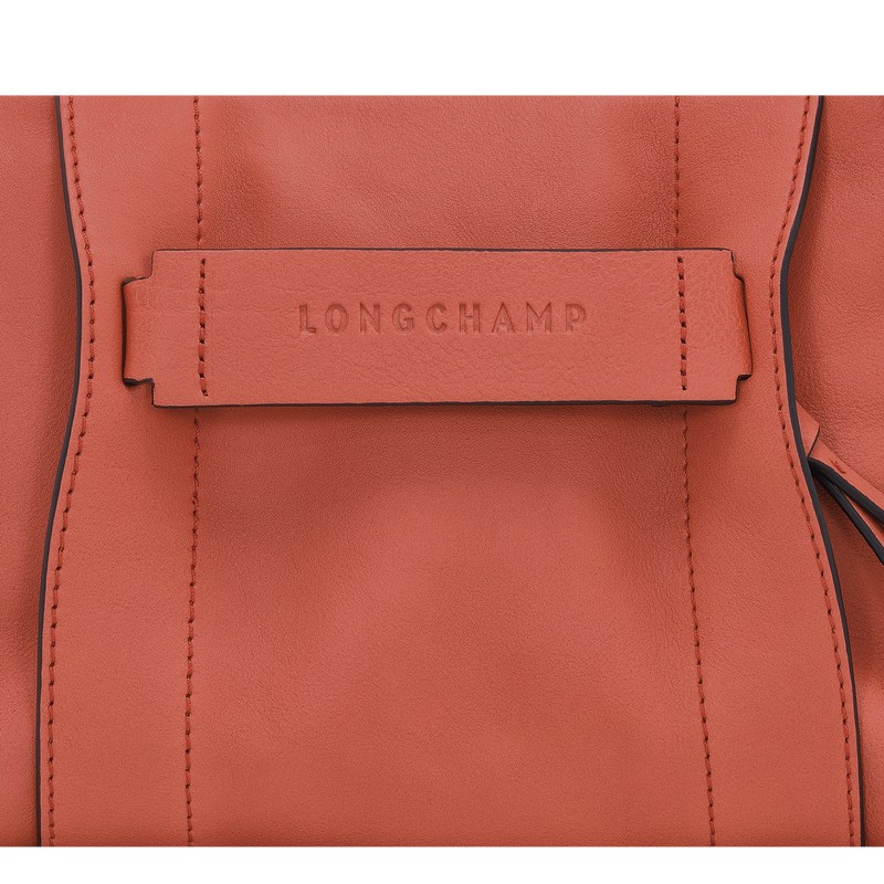 Longchamp Longchamp 3d S Crossbody Bag Sienna | QBPM96354