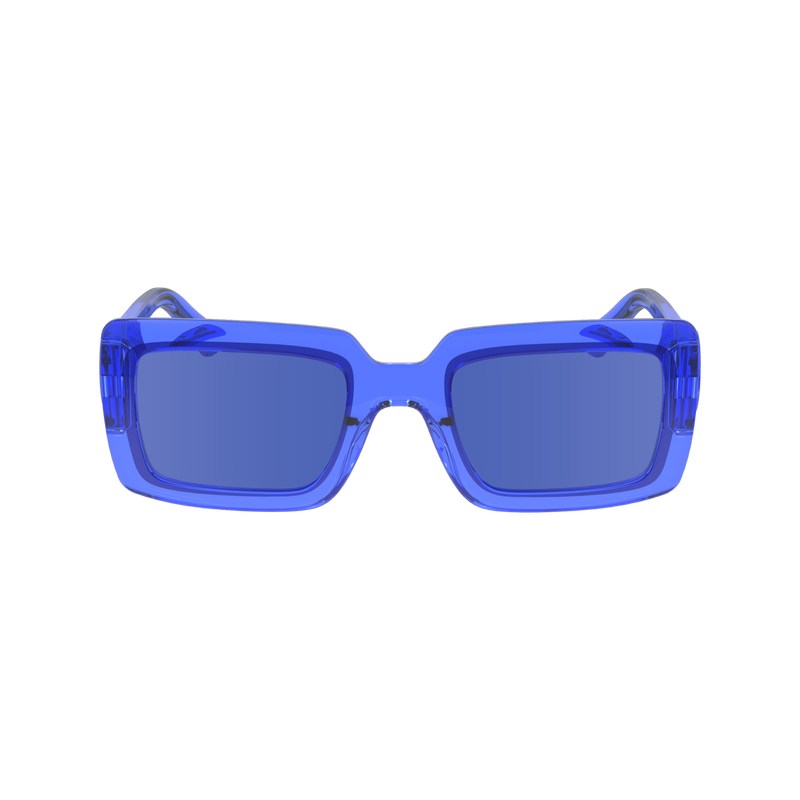 Longchamp Sunglasses Blauw | HCWR73802