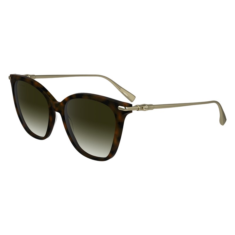 Longchamp Sunglasses Donker | AMLJ24186