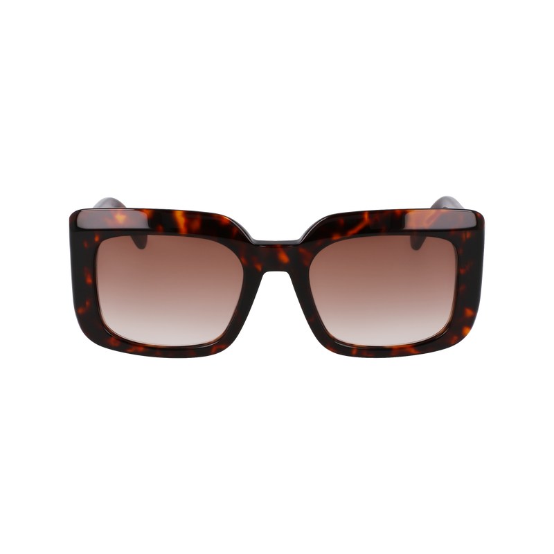 Longchamp Sunglasses Donker | ZFYU98526