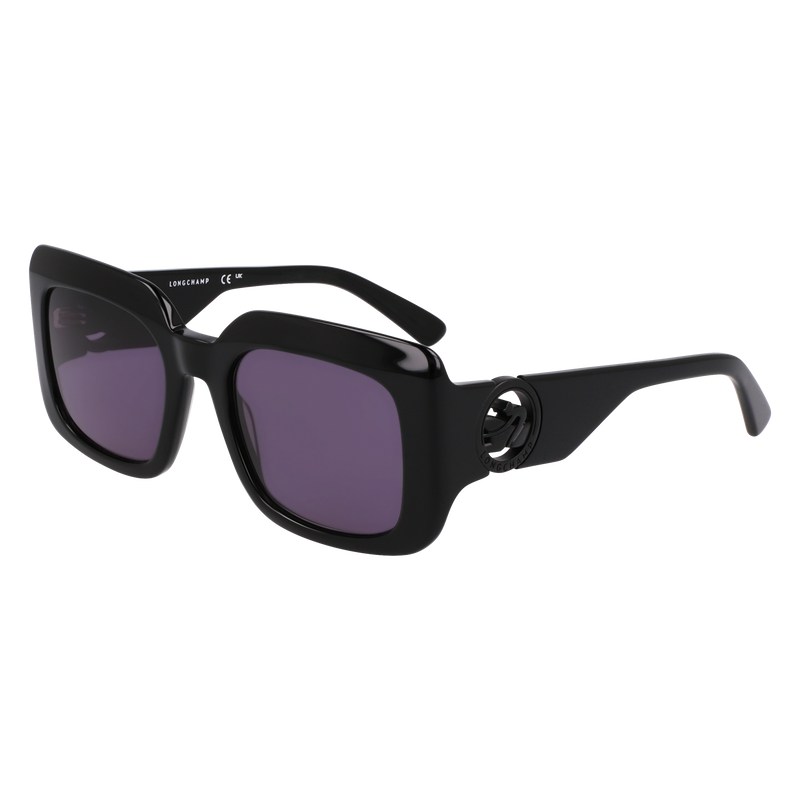 Longchamp Sunglasses Zwart | DQWX91628